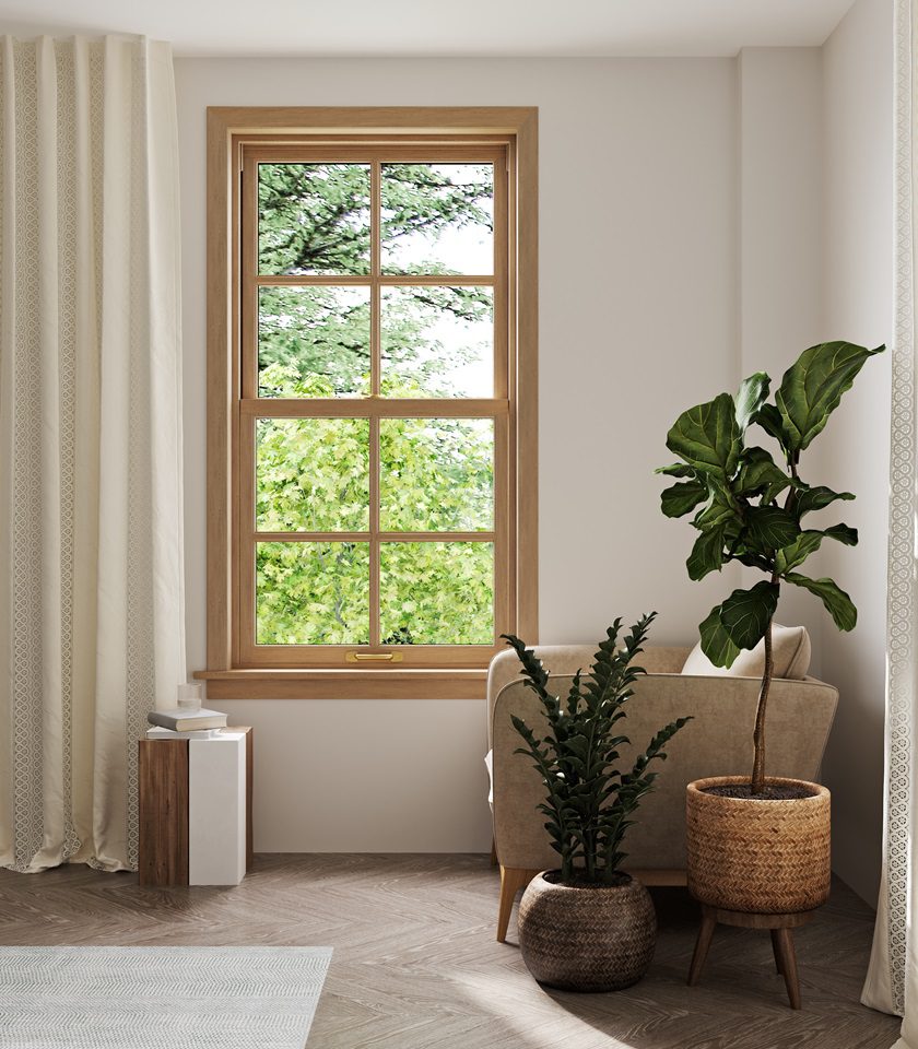 window film Dayton