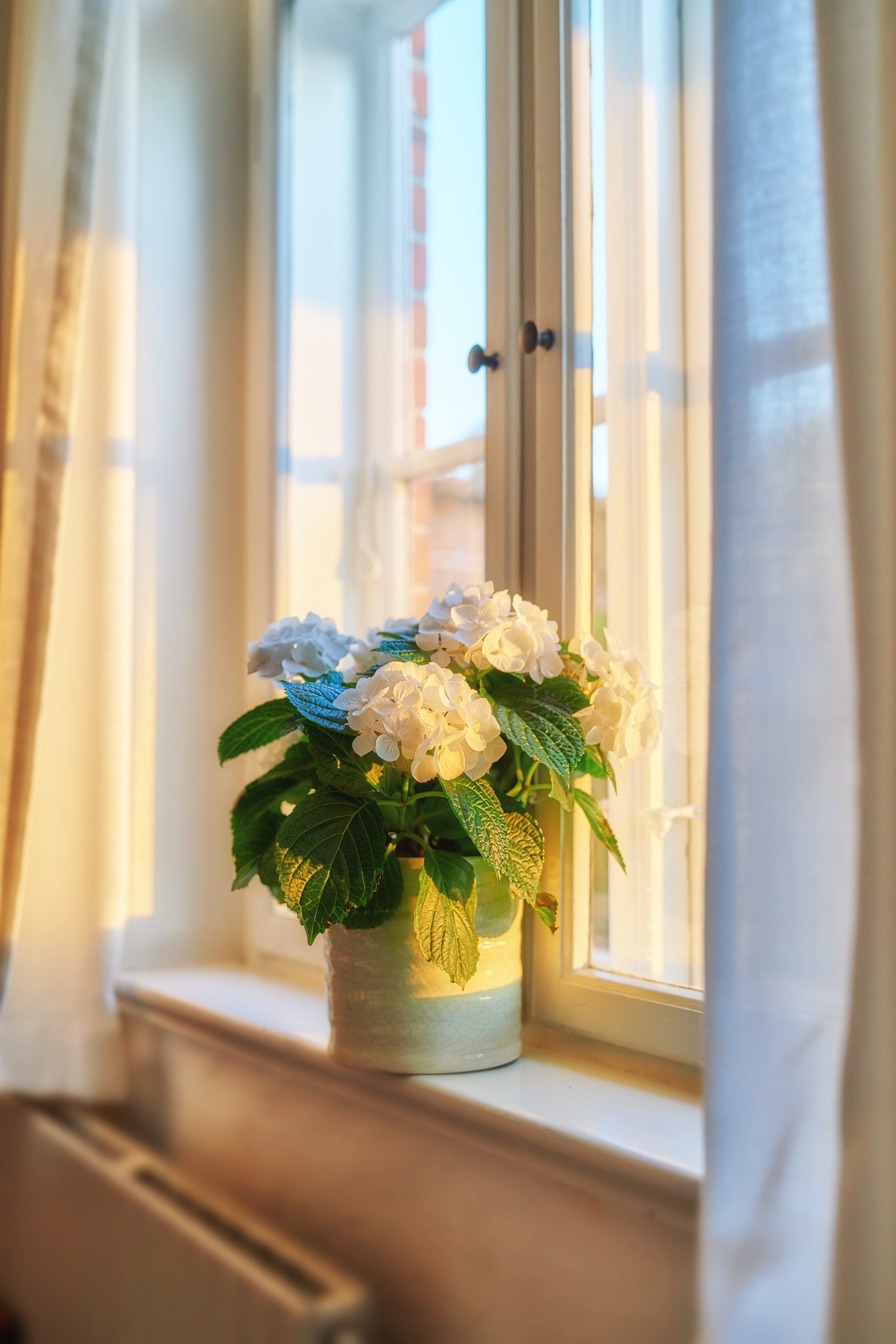 window tinting parma